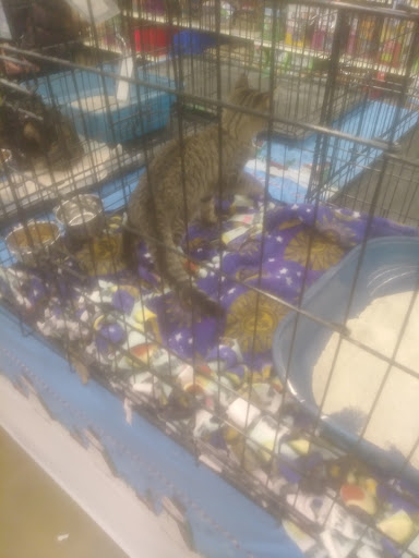 Pet Supply Store «PetSmart», reviews and photos, 4061 Miller Rd, Flint, MI 48507, USA