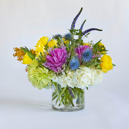 Florist «The Argyle Bouquet», reviews and photos, 120 Coulter Ave, Ardmore, PA 19003, USA