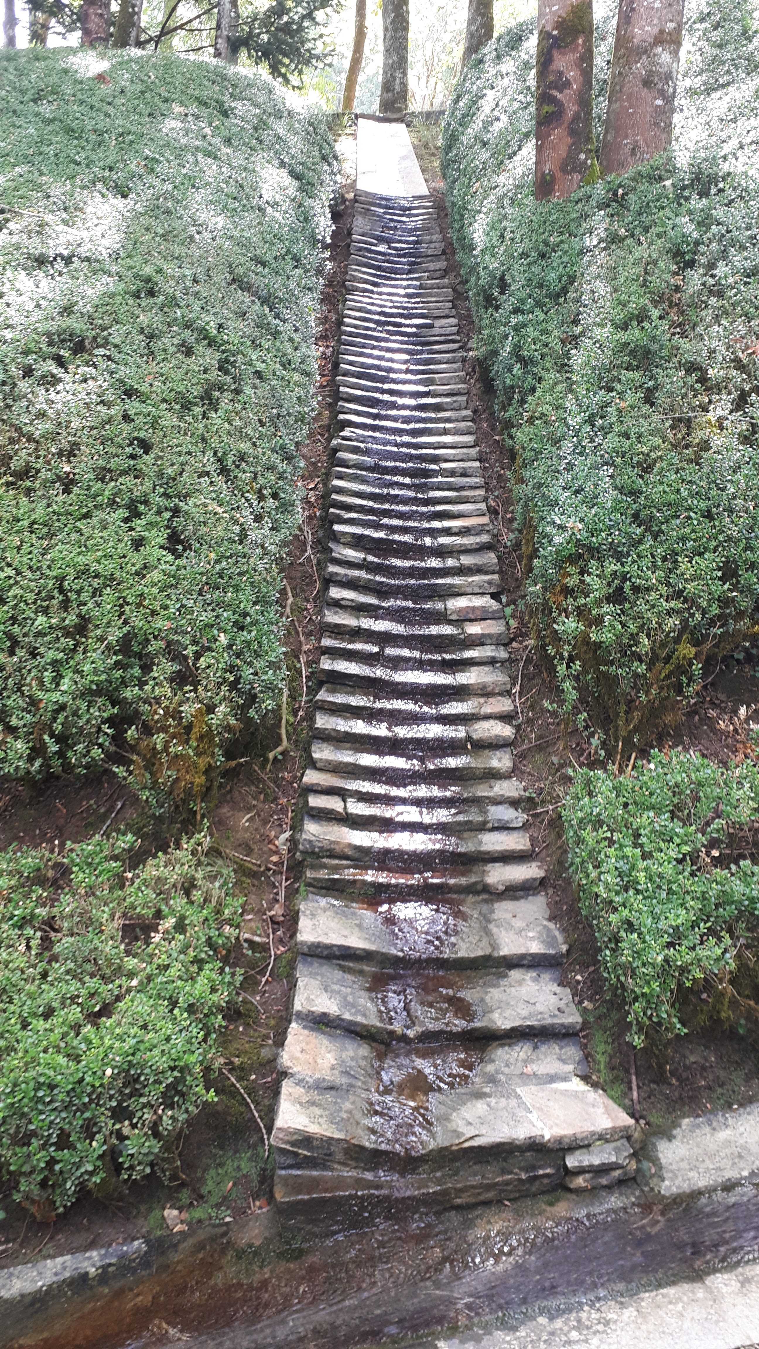 Photo n° 1 de l'avis de Cécile.i fait le 22/08/2020 à 17:28