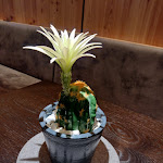 Photo n°1 de l'avis de N. fait le 12/08/2022 à 21:45 sur le  Hotel Restaurant Jägerhof à Calfosch