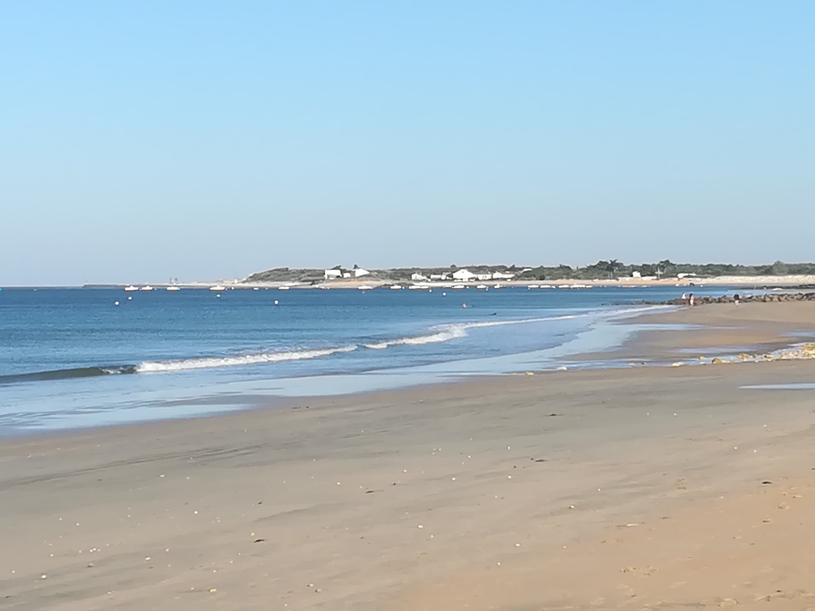 Foto de Plage du Treuil - lugar popular entre los conocedores del relax