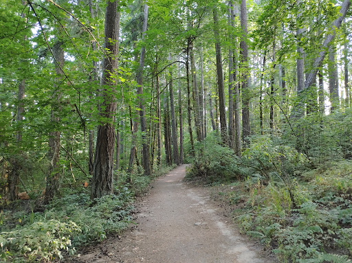 Bryant Woods Nature Park