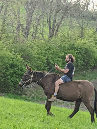 Farm «Benton Family Farm», reviews and photos, 11896 Old Lexington Pike, Walton, KY 41094, USA