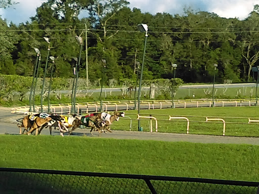 Racecourse «Ebro Greyhound Park», reviews and photos, 6558 Dog Track Road, Ebro, FL 32437, USA