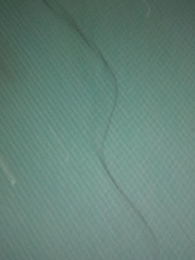 Car Dealer «Budget Car Mart», reviews and photos, 3095 Barber Rd, Norton, OH 44203, USA