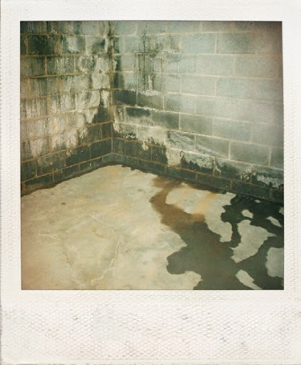 Waterproofing Company «MidAmerica Basement Systems», reviews and photos