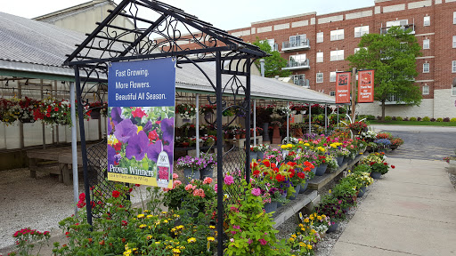 Florist «Kinsch Village Florist & Garden Center», reviews and photos, 301 Johnson St, Palatine, IL 60067, USA