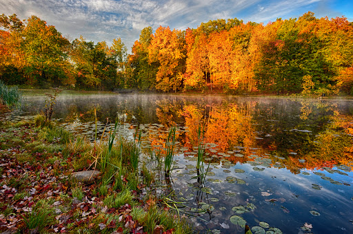 Park «Muriel Hepner Nature Park», reviews and photos, Diamond Spring Rd, Denville, NJ 07834, USA