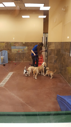 Pet Supply Store «PetSmart», reviews and photos, 7290 W Bell Rd, Glendale, AZ 85308, USA