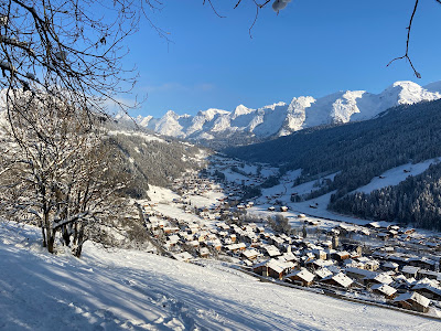 Marine Bidal - Conseiller immobilier - Aravis International à Le Grand-Bornand