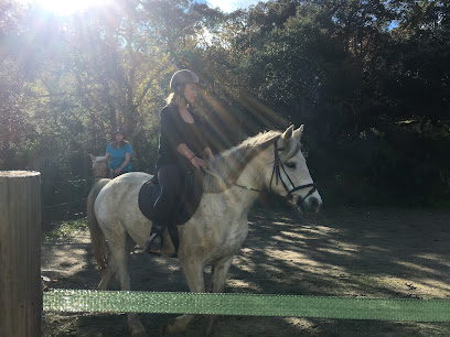 Refuge cheval en selle