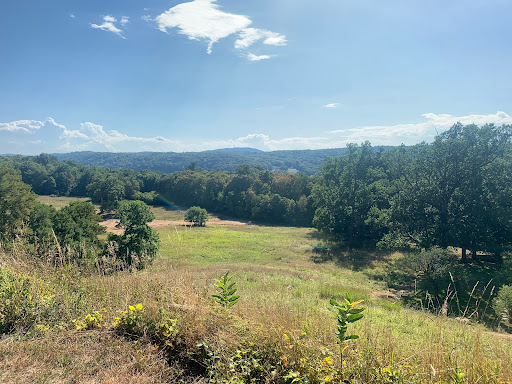 Museum «Franklin D. Roosevelt Presidential Library and Museum», reviews and photos