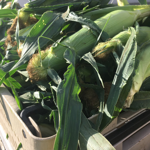 Tourist Attraction «Shoreline Farmers Market», reviews and photos, 15300 Westminster Way N, Shoreline, WA 98133, USA