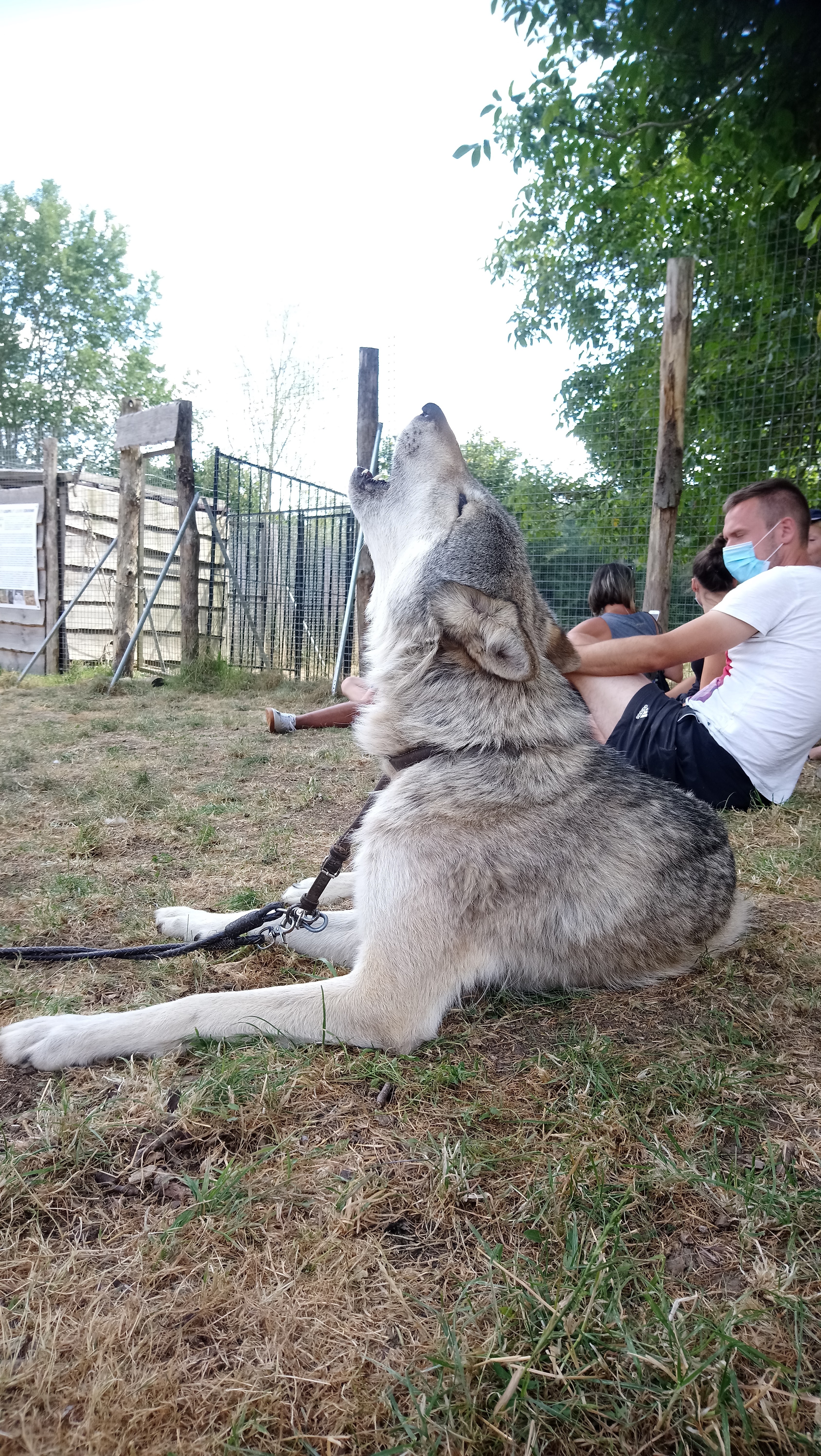 Photo n° 3 de l'avis de Gwen.e fait le 25/08/2020 à 16:26