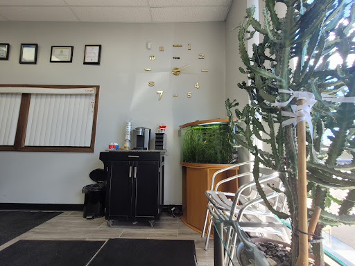 Auto Body Shop «Classic Collision Repair», reviews and photos, 24400 Novi Rd #105, Novi, MI 48375, USA