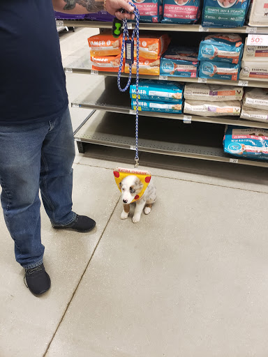 Pet Supply Store «Petco Animal Supplies», reviews and photos, 859 Kings Creek Dr, Tupelo, MS 38804, USA