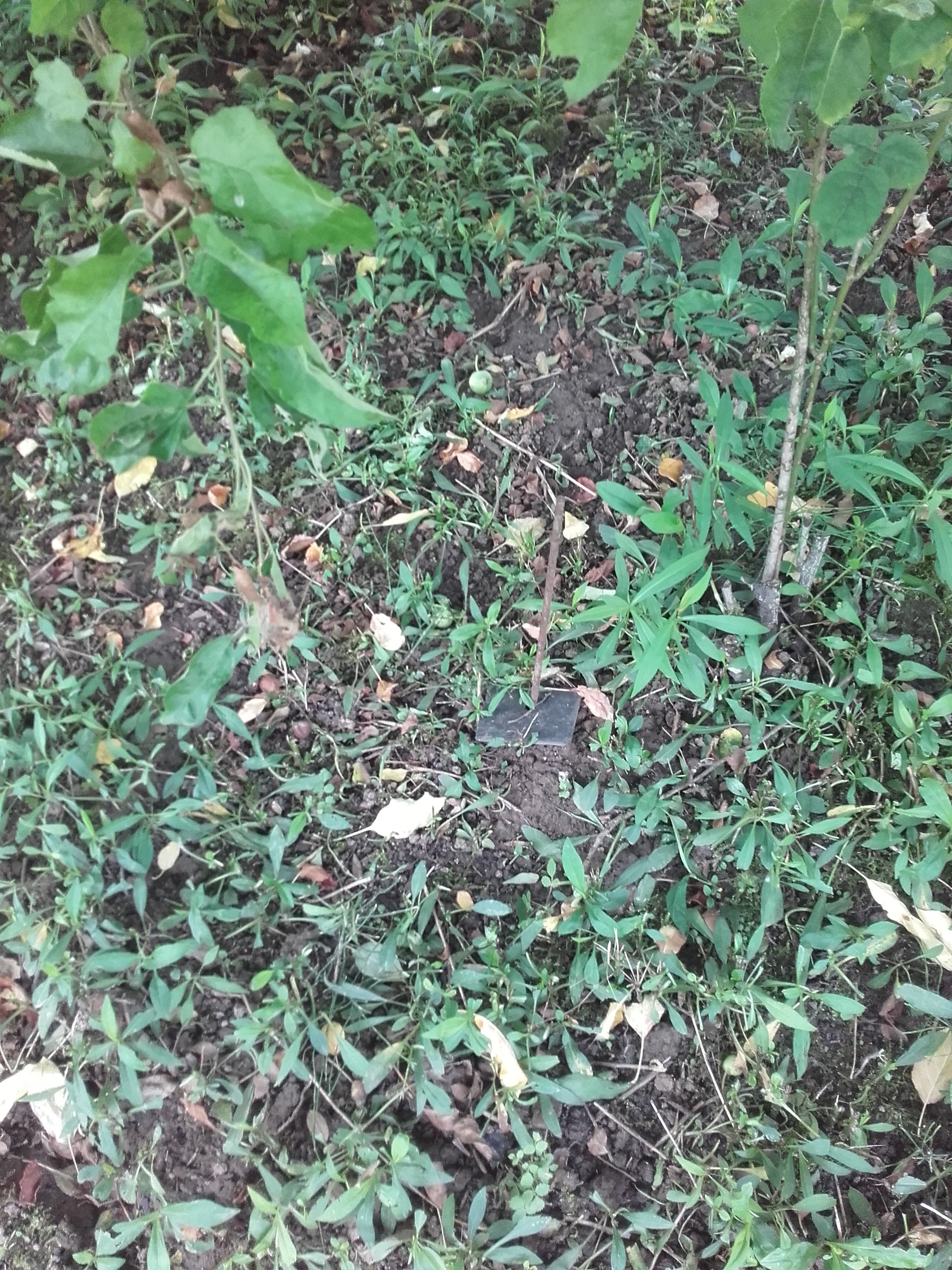 Photo n° 2 de l'avis de Maji.h fait le 19/06/2019 à 17:13