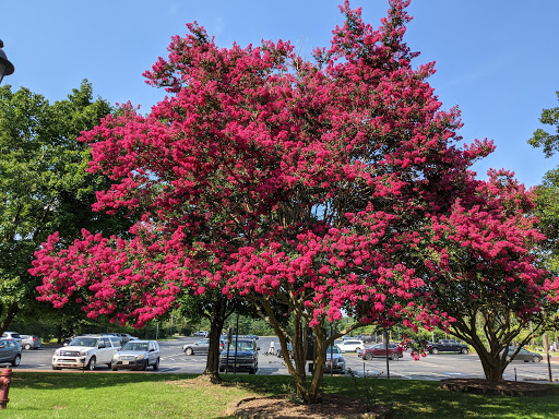 History Museum «Jamestown Settlement», reviews and photos, 2110 Jamestown Rd, Williamsburg, VA 23185, USA