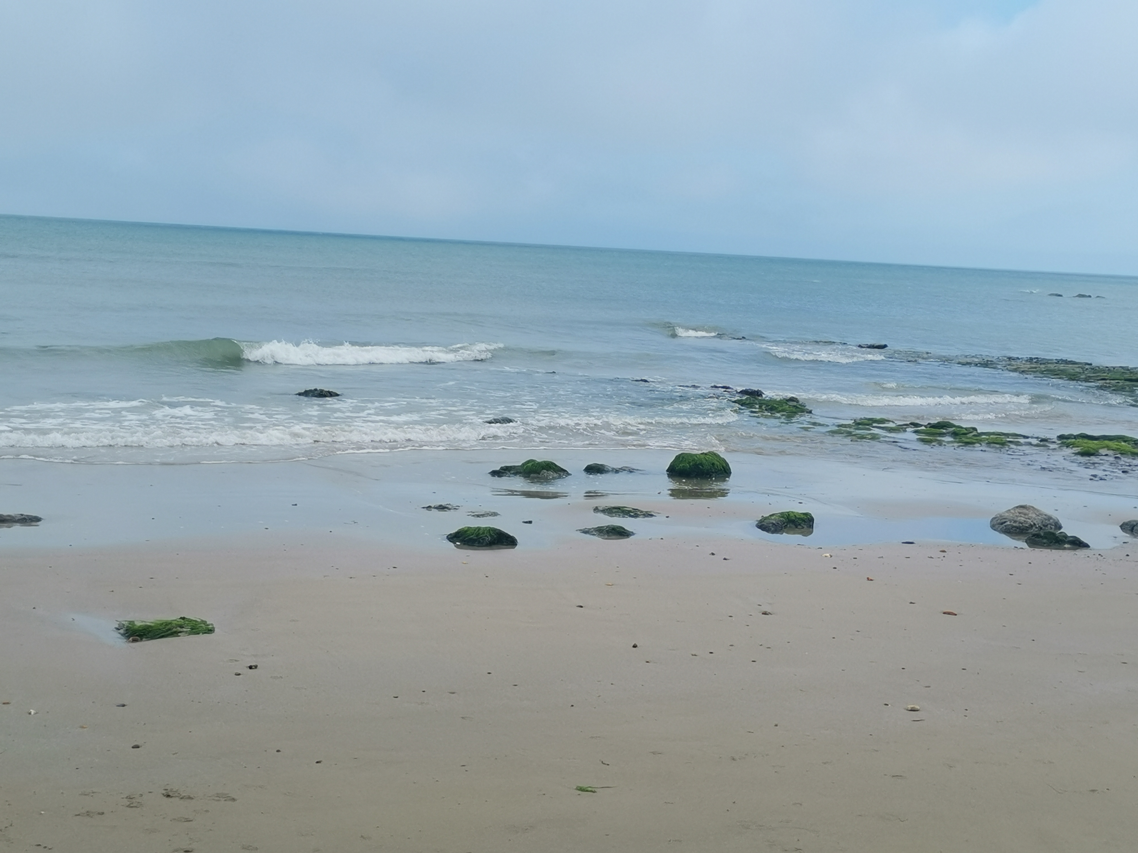 Photo n° 4 de l'avis de Bernard.e fait le 20/06/2021 à 19:04