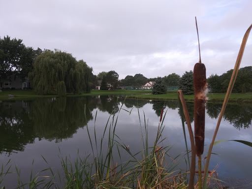 Golf Course «Rob Roy Golf Course», reviews and photos, 505 E Camp McDonald Rd, Prospect Heights, IL 60070, USA