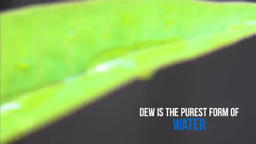 The Dew Water Corporation - SoCal
