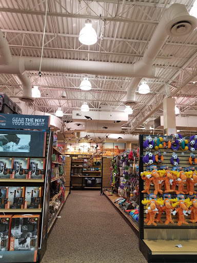Sporting Goods Store «SCHEELS», reviews and photos, 101 Jordan Creek Pkwy #4000, West Des Moines, IA 50266, USA