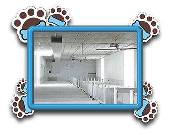 Pet Store «AA Ridgewood Kennels II», reviews and photos, 5401 Lincoln Hwy, Gap, PA 17527, USA