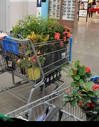 Walmart Garden Center