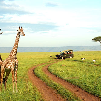 Cruise Agency «Adelman Travel», reviews and photos, 3424 S National, Springfield, MO 65807, USA