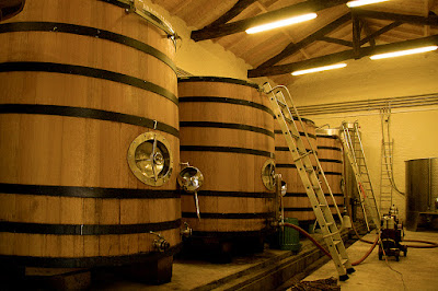 Clos Puy Arnaud - Thierry Valette à Belvès-de-Castillon