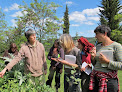 MOUTSIE CLAISSE - ASSOCIATION L'ORTIE Saint-Jean-de-Paracol