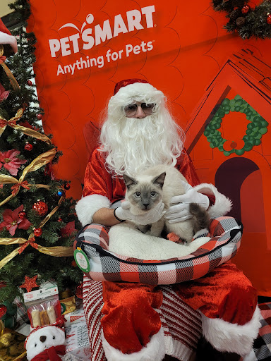 Shopping Mall «Shops at the Galleria», reviews and photos, 12918 Shops Pkwy, Bee Cave, TX 78738, USA