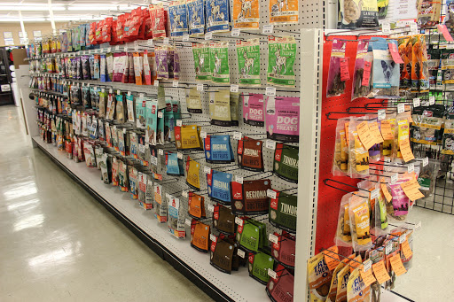 Pet Supply Store «Dog Lovers of Tarpon», reviews and photos, 39934 US Hwy 19 N, Tarpon Springs, FL 34689, USA