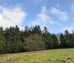 Fußgängersteg Beyenburg-Schemm photo