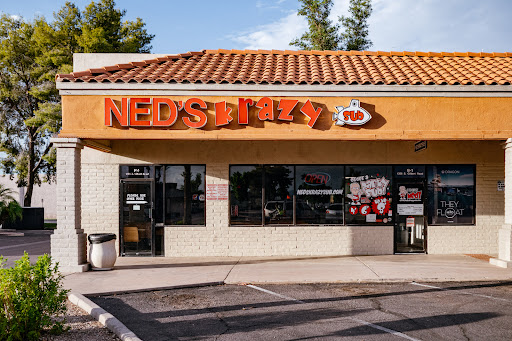 Ned's Krazy Sub