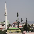 Mut Meydan Camii