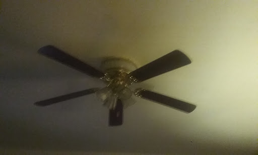 Pet Supply Store «Petco Animal Supplies», reviews and photos, 165 N McDowell Blvd, Petaluma, CA 94954, USA