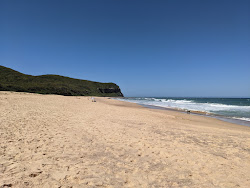 Zdjęcie Dudley Beach z poziomem czystości wysoki