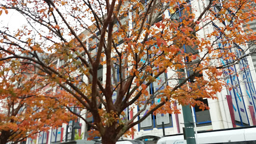 Market «7th Street Public Market», reviews and photos, 224 E 7th St, Charlotte, NC 28202, USA