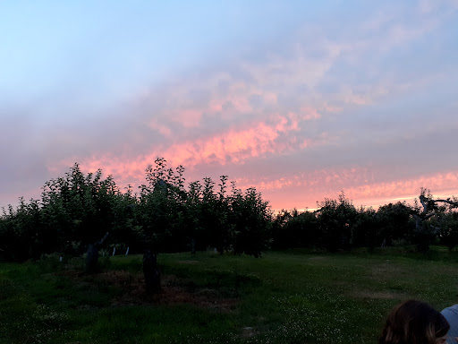 Winery «Echo Hill Orchards & Winery», reviews and photos, 101 Wilbraham Rd, Monson, MA 01057, USA