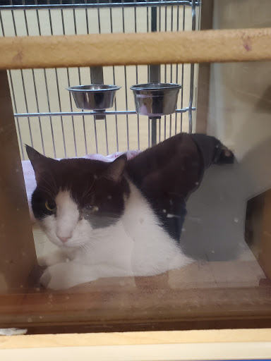 Pet Supply Store «PetSmart», reviews and photos, 1705 N Bechtle Ave, Springfield, OH 45504, USA