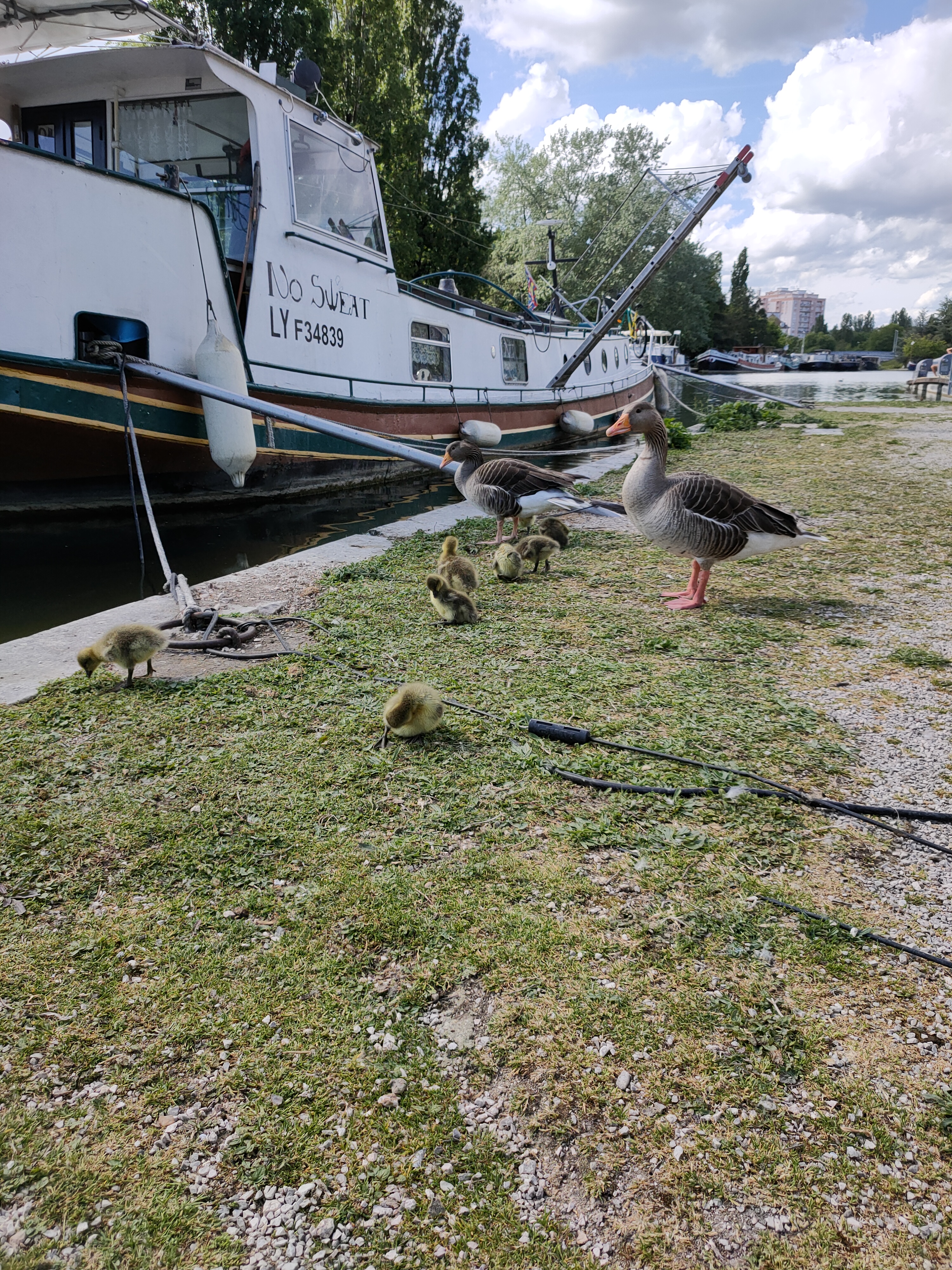 Photo n° 9 de l'avis de Justine. fait le 15/05/2021 à 20:07