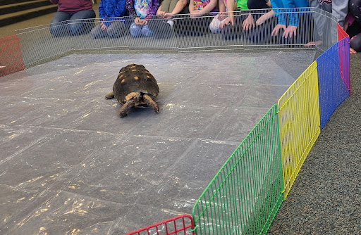 Zoo «Lake Superior Zoo», reviews and photos, 7210 Fremont St, Duluth, MN 55807, USA