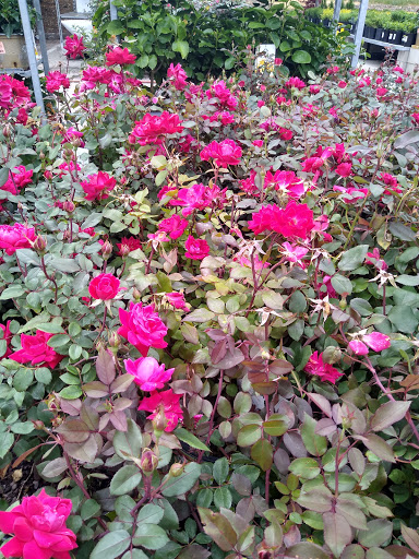 Home Improvement Store «The Home Depot», reviews and photos, 825 E Dundee Rd, Palatine, IL 60074, USA