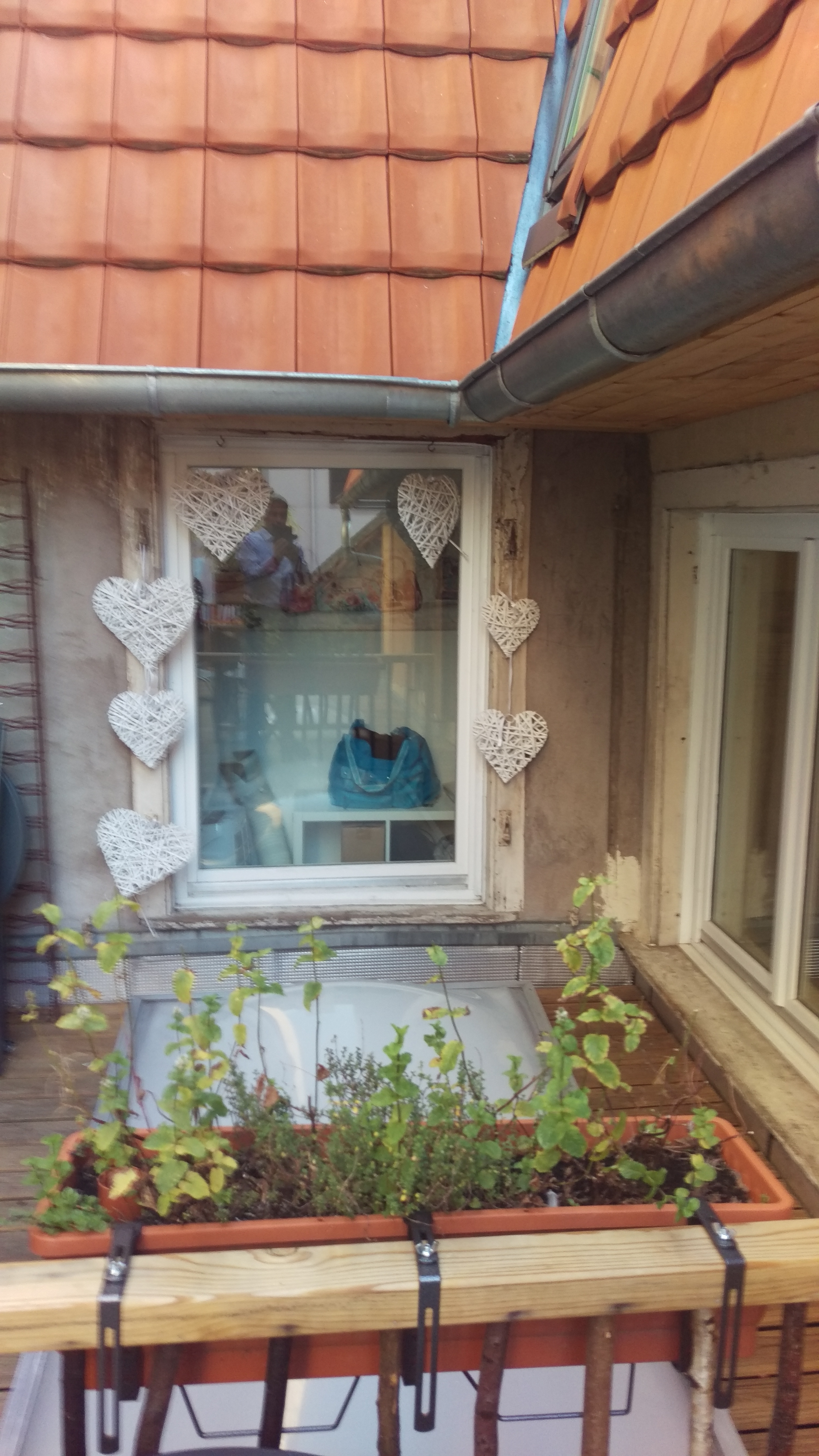 Photo n° 6 de l'avis de Jonas.e fait le 10/10/2019 à 20:46
