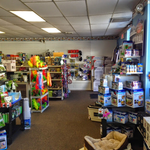 Pet Store «Fins And Feathers», reviews and photos, 222 Willow Ave, Honesdale, PA 18431, USA