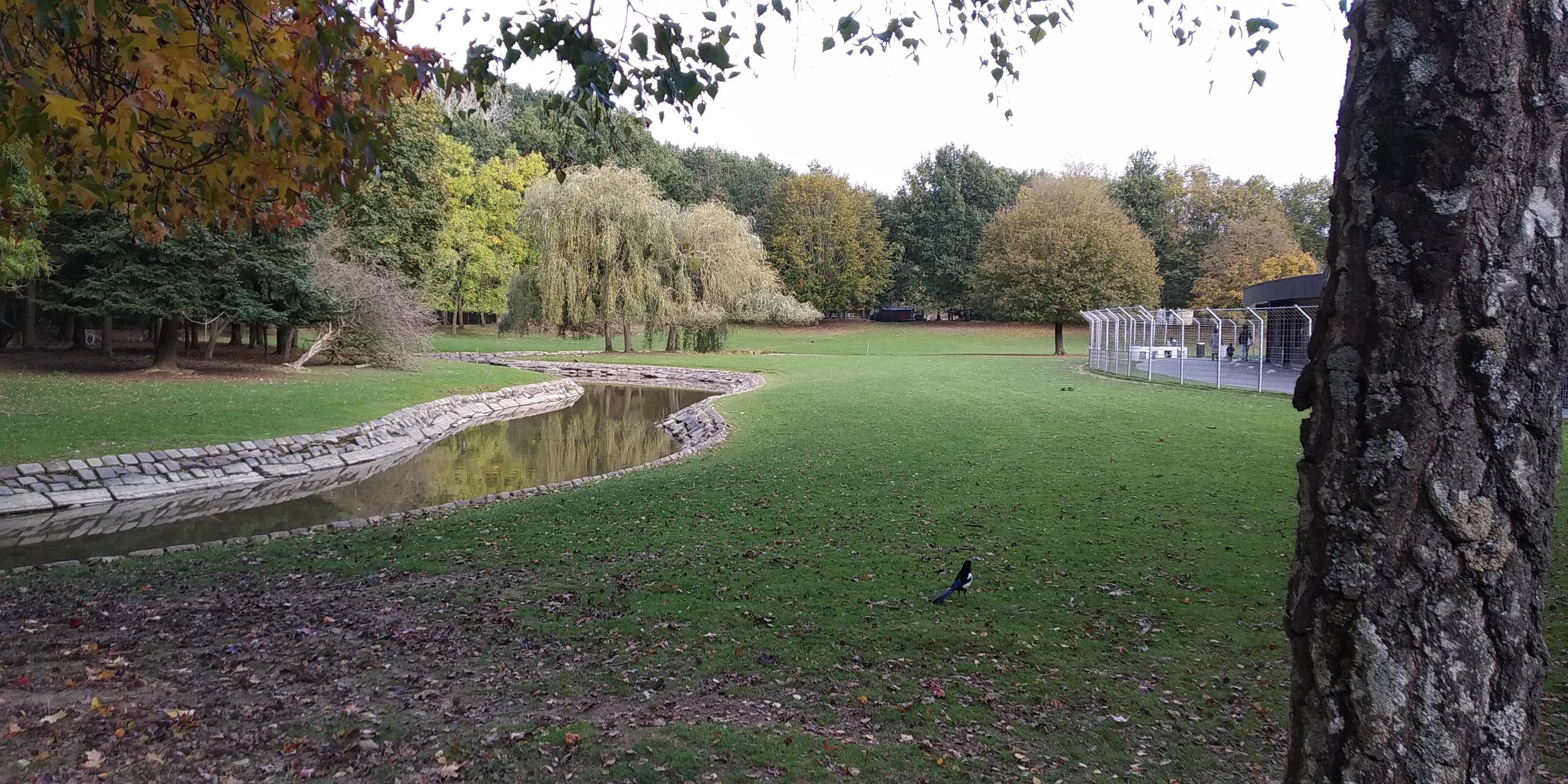 Photo n° 6 de l'avis de Flo.a fait le 18/10/2020 à 15:36