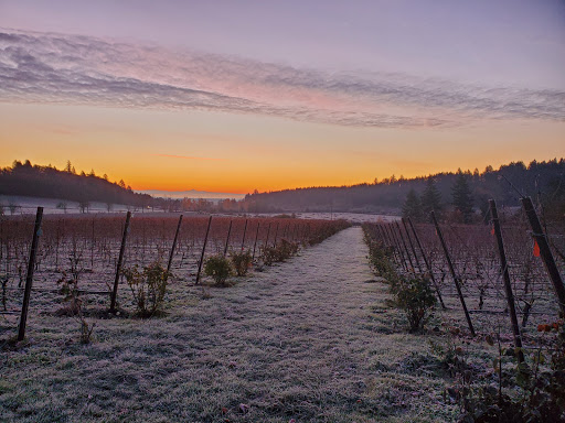 Winery «Zenith Vineyard», reviews and photos, 5657 Zena Rd NW, Salem, OR 97304, USA
