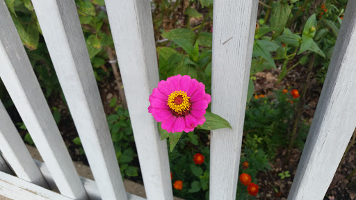 Park «Percy Warner Park», reviews and photos, 7311 Tennessee 100, Nashville, TN 37221, USA