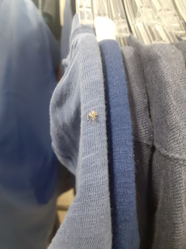 Thrift Store «Gilbert & University Goodwill Retail Store & Donation Center», reviews and photos, 1900 E University Dr, Mesa, AZ 85203, USA